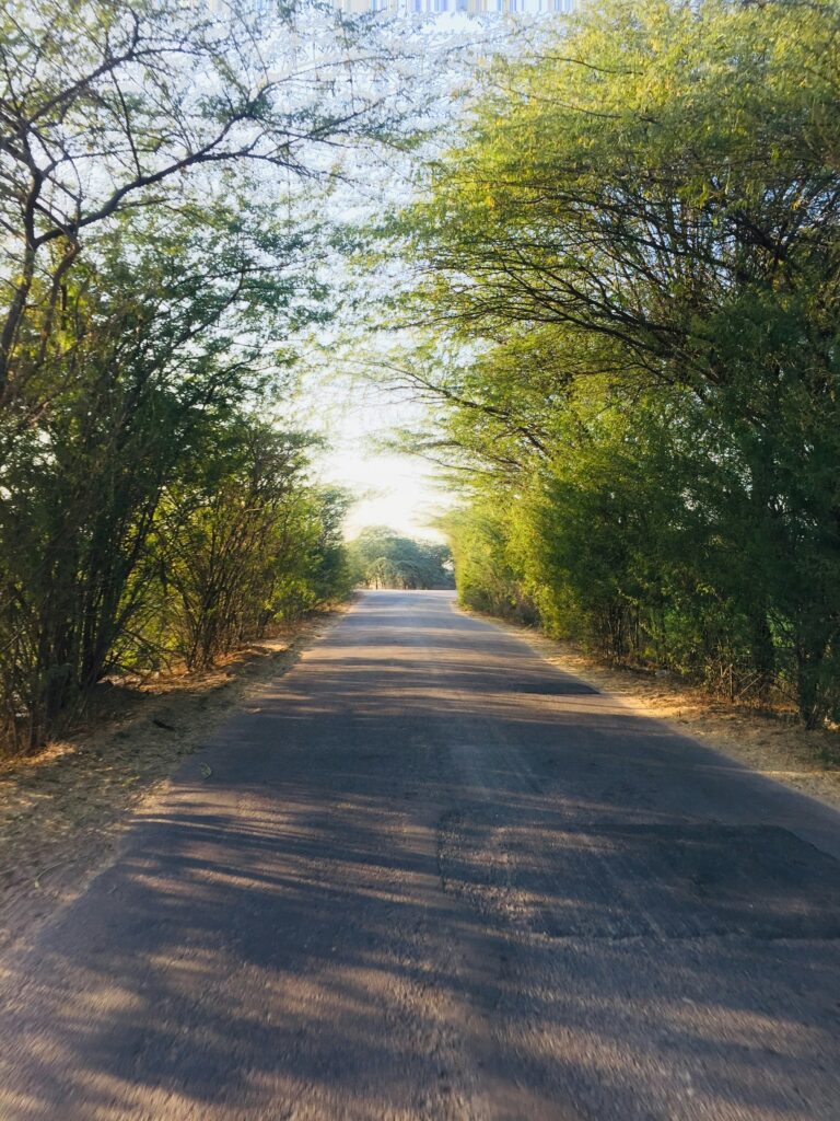 renuka-bamal-0f9MyJdwdus-unsplash